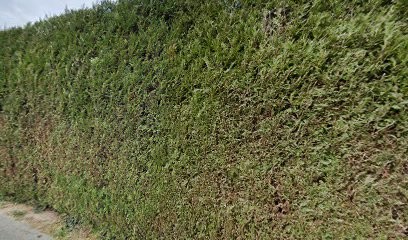 Elise CROSNIER - Thérapeute Psycho-Émotionnelle - Praticienne EMDR & thérapies brèves et coaching holistique, Praticien de Médecine Alternative à Boigny-sur-Bionne