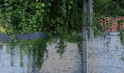 Mélanie Martins Naturopathe - Energeticienne, Praticien de Médecine Alternative à Cahors