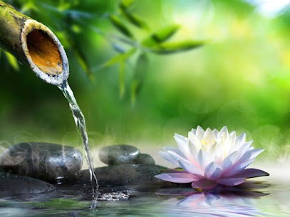 Catherine BULCOURT NATUROPATHE, Praticien de Médecine Alternative à La Roche-sur-Yon