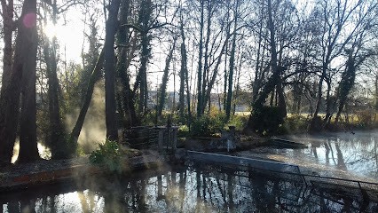 IES massages et soins énergétiques BBA NAET magnétisme, Praticien de Médecine Alternative à Gensac-la-Pallue