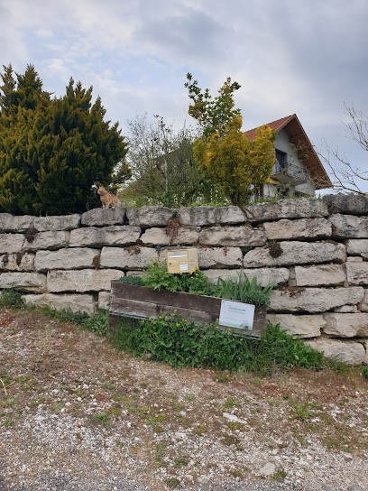 PAILLOUX Sophie, Praticien de Médecine Alternative à Dolomieu