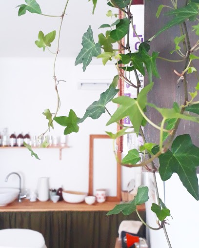 Audrey Brouhot - Guérisseuse d'âme - Soin Énergétique - Soins Dr. Hauschka, Praticien de Médecine Alternative à Hyères