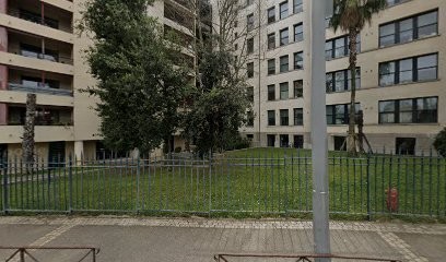 Suzanne Arms, Hypnothérapeute à Montpellier