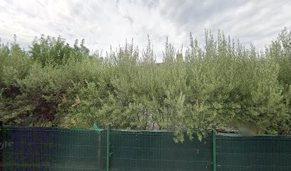 NETTOYAGE MONTEUX, Hypnothérapeute à Carpentras