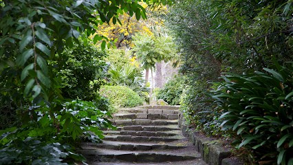Nathalie Lafond Sophrojoie, Praticien de Médecine Alternative à Calais