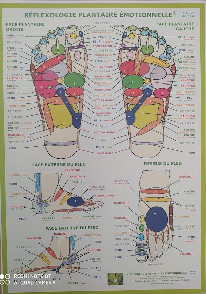 Réflexologue Plantaire émotionnelle, Shiatsu En Entreprise, Sainte Pazanne, Alexandra Gérard, Réflexologue à Sainte-Pazanne