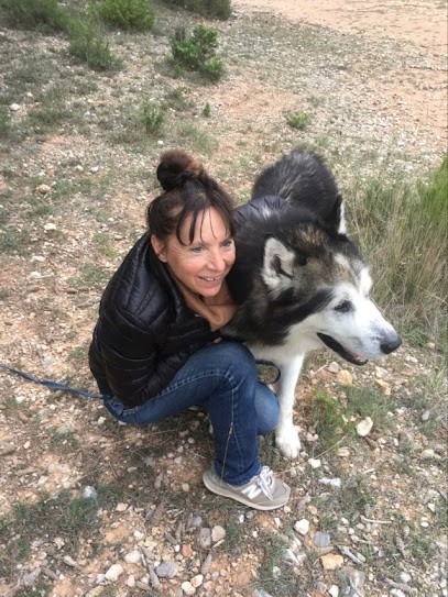 FRANCOISE SANCHEZ NATUROPATHE AIX EN PROVENCE, Praticien de Médecine Alternative au Tholonet