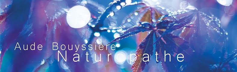 Aude Bouyssiere Naturopathe, Praticien de Médecine Alternative à Grenade
