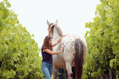 Lis'Harmonie, Praticien de Médecine Alternative à Marsillargues