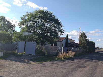 Françoise GIGNOUX NATUROPATHE, Praticien de Médecine Alternative à Saint-Just-Saint-Rambert