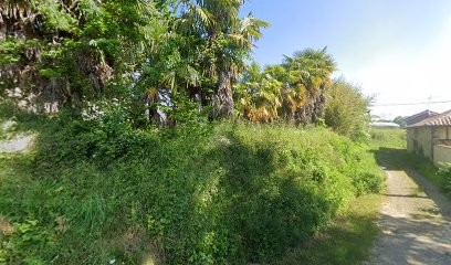 Da Silva Antoine, Praticien de Médecine Alternative à Saint-Martin-d'Armagnac