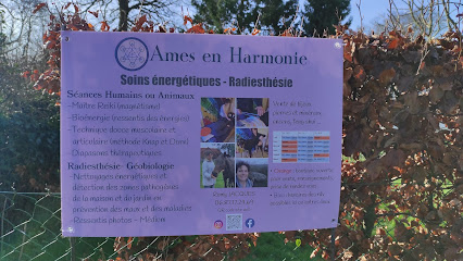 Âmes En Harmonie, Praticien De Médecine Alternative à Allouville-Bellefosse
