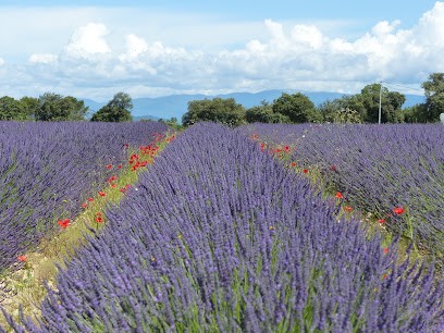 Sophrologue (Happy Sophro) - Sylvie Bouron, Praticien de Médecine Alternative à Aizenay