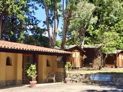 Marie-Dominique Ktitareff, Energéticienne, Thérapeute Holistique, Soins Quantiques, Praticien de Médecine Alternative à Mouans-Sartoux