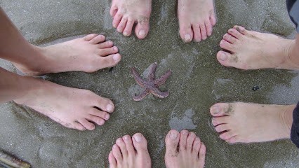 Le Bihan Anne, Réflexologue à Montaigu