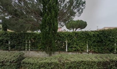 Meriam Bordonne Vitasens Naturopathe Et Coach De Vie, Praticien de Médecine Alternative à Saint-Gilles