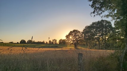 Claire Grivet - Thérapeute Hypnose, PNL, enfants, adultes, couples, Hypnothérapeute à Montemboeuf