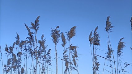 Bulles De Sophro, Praticien de Médecine Alternative à Serre-les-Sapins