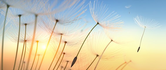 Centre de Sophrologie Rose-Hélène Rousseau Sophrologue certifiée RNCP, Praticien de Médecine Alternative à Saint-Nectaire