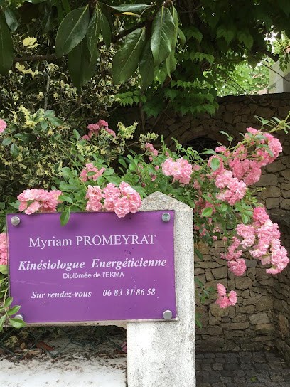 Myriam Promeyrat - Kinésiologue Energéticienne -, Praticien de Médecine Alternative à Marly-le-Roi