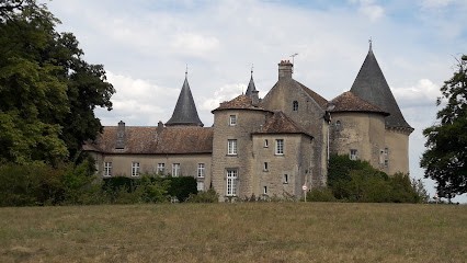 Francois Harmand, Praticien de Médecine Alternative à Soulosse-sous-Saint-Élophe