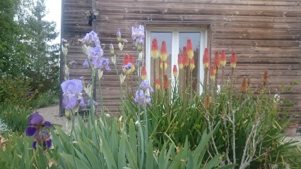 Sophie Dardare Gautier SHIATSU - CPA, Praticien de Médecine Alternative à Dordives