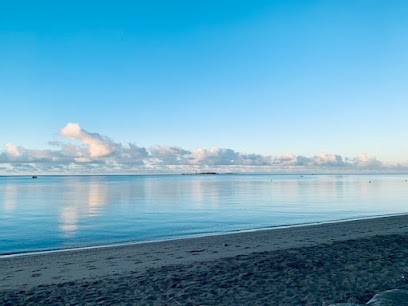 Pascal SANCHEZ Bio Énergie Thérapeute Holistique, Hypnothérapeute à Albi