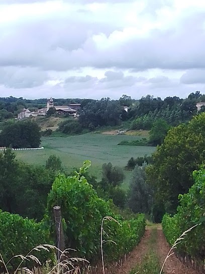RISACHER Rémi, Praticien de Médecine Alternative à Gisy-les-Nobles