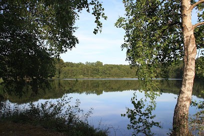 iosila sophrologie Francine Lamboley, Praticien de Médecine Alternative à La Lanterne-et-les-Armonts
