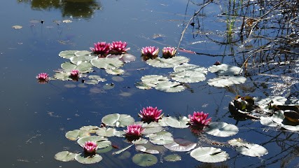 Sophrologue Lydie Ballet, Praticien de Médecine Alternative à Niort