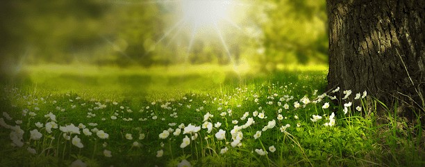 Aude Jeanne, Praticien de Médecine Alternative à Warhem