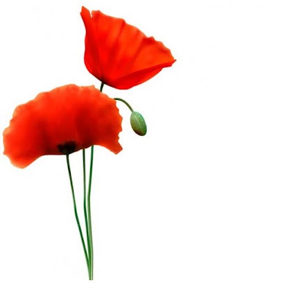 Gobillard Amelie, Praticien de Médecine Alternative à Guyans-Vennes