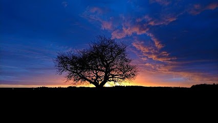 Aurélien Boithias, Hypnothérapeute à Aiguilhe