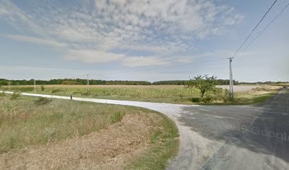 Virginie Thevenot, Praticien de Médecine Alternative à Jargeau