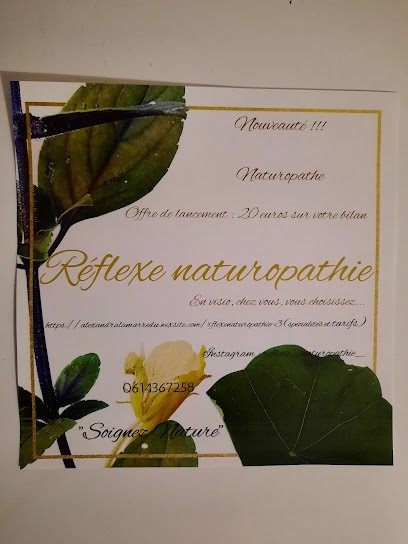 Réflexe Naturopathie Alexandra DUVIVIER, Praticien de Médecine Alternative à Seclin