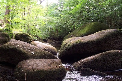 André Louis Nicot, Hypnothérapeute à Plogastel-Saint-Germain