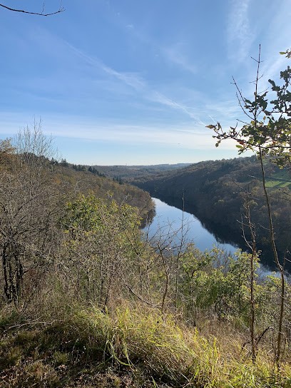 Clémence Hénon Naturopathe, Praticien de Médecine Alternative à Montreuil