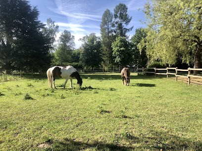Ingrid Gibot - Naturopathe spécialisée en nutrition et micronutrition, Praticien de Médecine Alternative à Hermeray