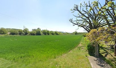 MM Animalier - Bien être Animalier Et Pet Sitting, Praticien de Médecine Alternative à Livron-sur-Drôme