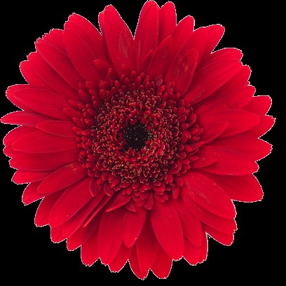 une Vie en Vies, Praticien de Médecine Alternative à Saint-Nazaire