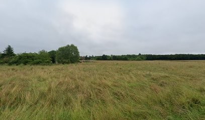 Cathy DUPONT, Réflexologue à Huisseau-sur-Mauves