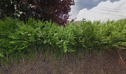 Carola Wiegers - Naturopathe, Praticien de Médecine Alternative à Blois