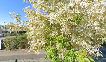 Caroline Ripert - Naturopathe, Praticien de Médecine Alternative à Thonon-les-Bains