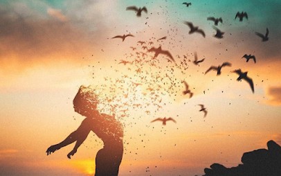 Delphine MARTIN Réflexologue / EFT /coach RNCP, Réflexologue à Ciré-d'Aunis