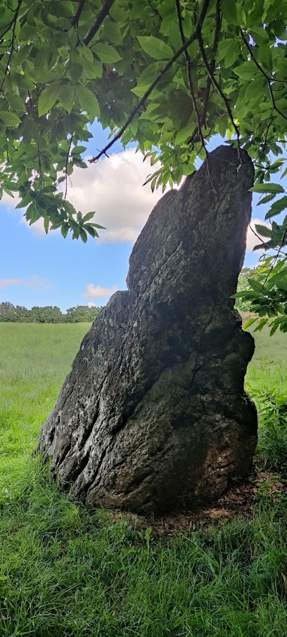 Cécile Rouvier Naturopathe, Praticien de Médecine Alternative à Plouëc-du-Trieux