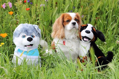 Canicoeur - Médiation Par L'animal, Praticien de Médecine Alternative à Chanat-la-Mouteyre
