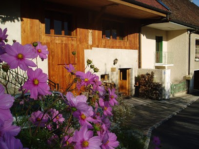 Cabinet de réflexologie du hameau de Filly, Réflexologue à Saint-Jorioz