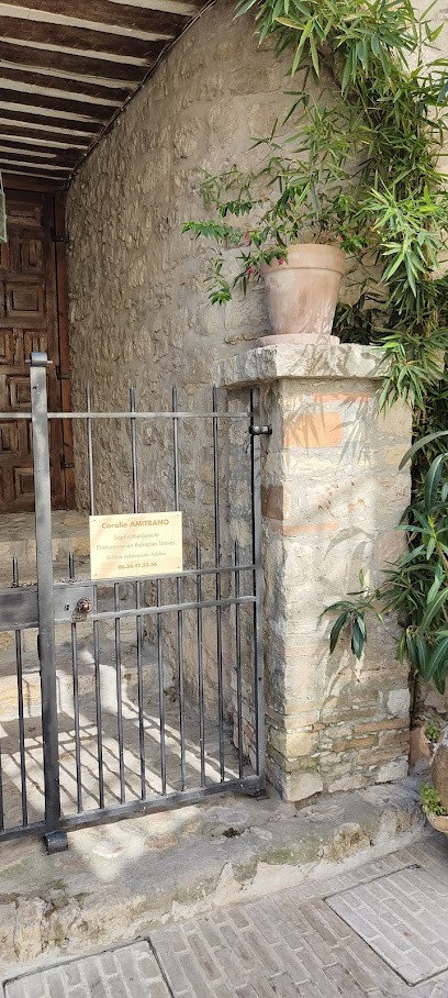 Amitrano Coralie Sophrologue, Sophrothérapeute, Praticienne En Thérapies Brèves, Praticien de Médecine Alternative à Mougins