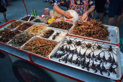 Vioux Nancy Elisabeth, Praticien de Médecine Alternative à Caux