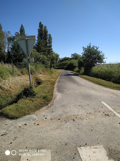 Claude Patarin - Réflexologie Cholet, Réflexologue à Cholet